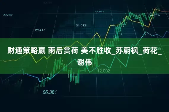 财通策略嬴 雨后赏荷 美不胜收_苏蔚枫_荷花_谢伟