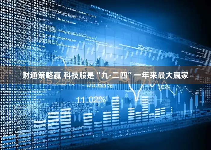 财通策略嬴 科技股是“九·二四”一年来最大赢家